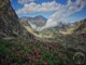Rhododendrons fleuris et vue sur le pic du Midi de Bigorre