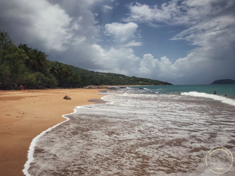 Plage en Guadeloupe : sable ocre et mer bleue turquoise