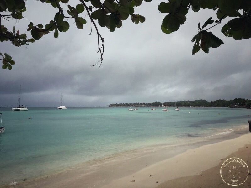 Plage de Guadeloupe : Sable blanc et eau bleue turquoise