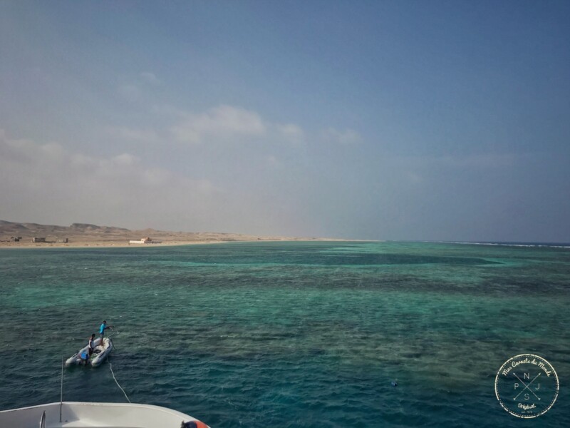 Recif de la mer Rouge lors d'une plongée en Egypte