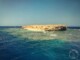 Récif sur la mer rouge lors d'une croisière plongée en Egypte