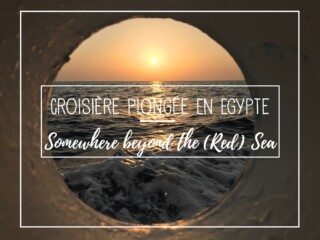 Croisière plongée sur la Mer Rouge en Égypte - Somewhere beyond the red sea : Titre