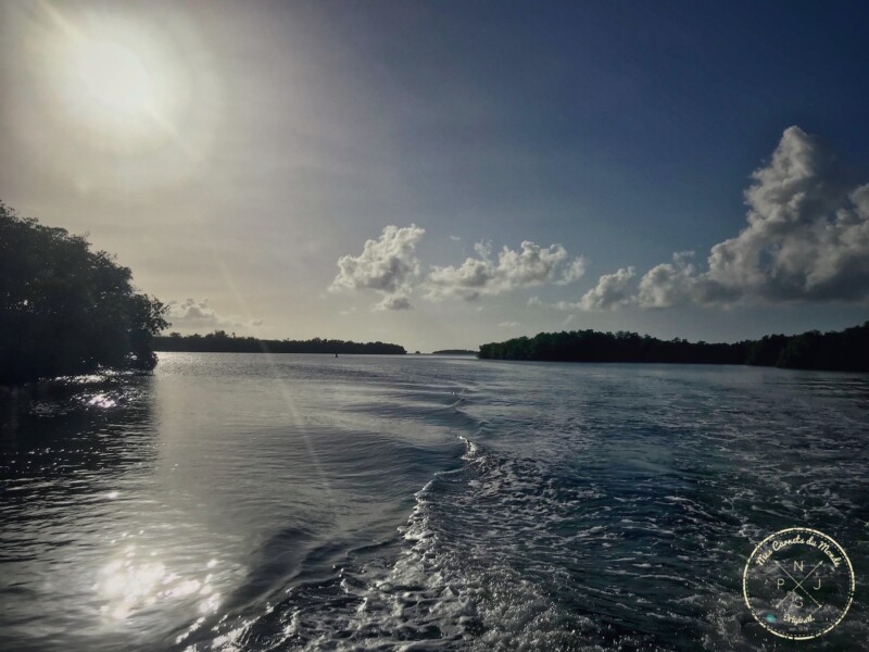 Excursion à l'îlet caret, Excursion à l’îlet Caret : ça ne tourne pas rond sous le (Ti-punch) soleil de Guadeloupe !, Mes Carnets du Monde