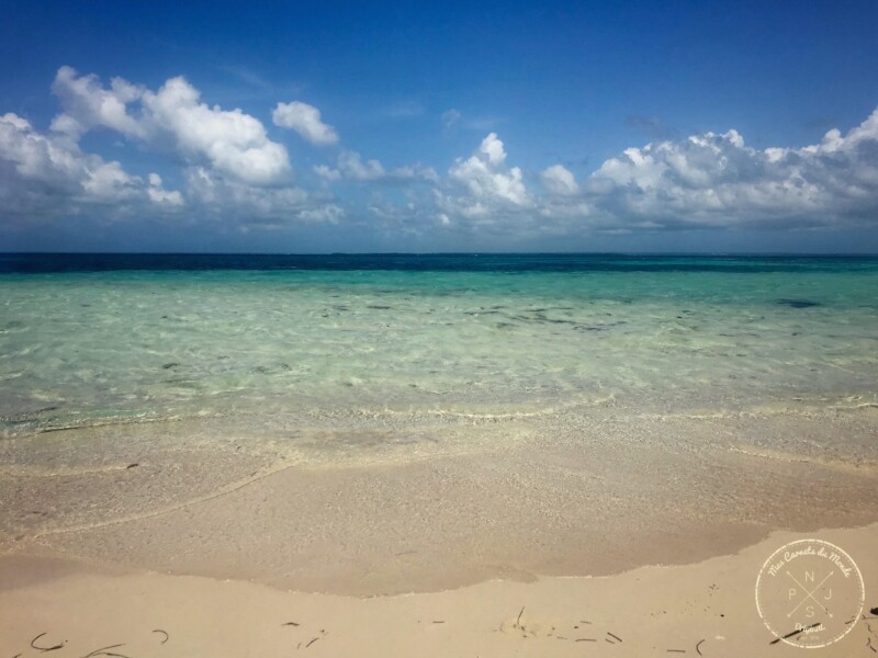 Excursion à l'îlet caret, Excursion à l’îlet Caret : ça ne tourne pas rond sous le (Ti-punch) soleil de Guadeloupe !, Mes Carnets du Monde