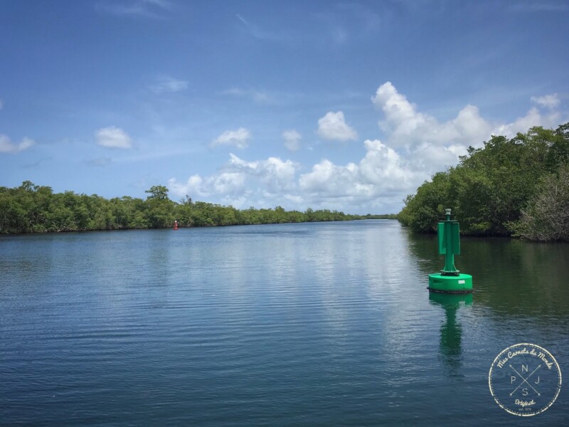 Navigation dans la mangrove en direction de l'îlet Caret en Guadeloupe