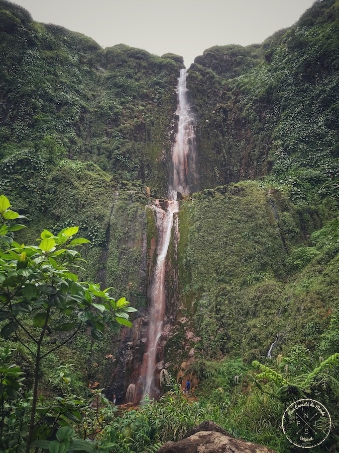 Randonnée Chute du Carbet, Randonnée à la Première Chute du Carbet : Plus Belle sera la Chute !, Mes Carnets du Monde