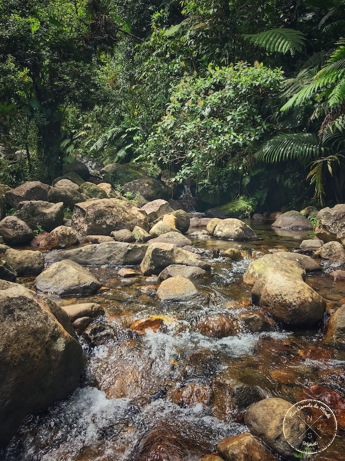 Passage de rivière en guadeloupe