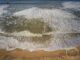 Surf Bordeaux, Bordeaux et la Côte Sud-Ouest : Entre Terre et Mer, la Patrie du Surf., Mes Carnets du Monde