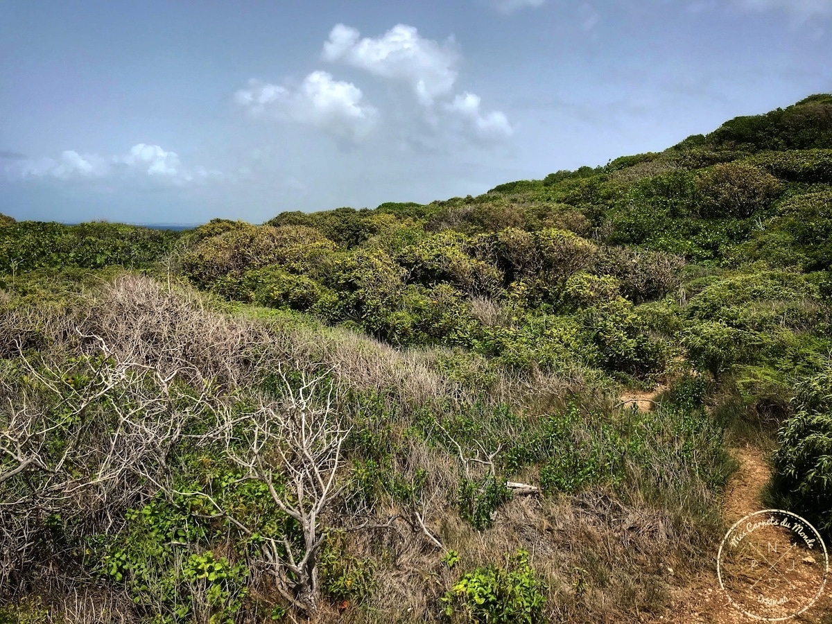 La Pointe des Châteaux, La Pointe des Châteaux, une belle randonnée à l’est de la Guadeloupe et des randonneurs un peu  « à l’ouest »…, Mes Carnets du Monde