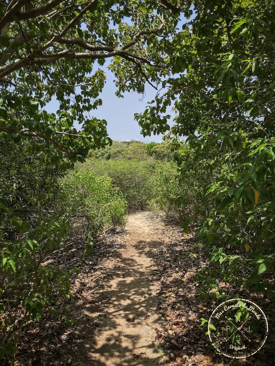 La Pointe des Châteaux, La Pointe des Châteaux, une belle randonnée à l’est de la Guadeloupe et des randonneurs un peu  « à l’ouest »…, Mes Carnets du Monde