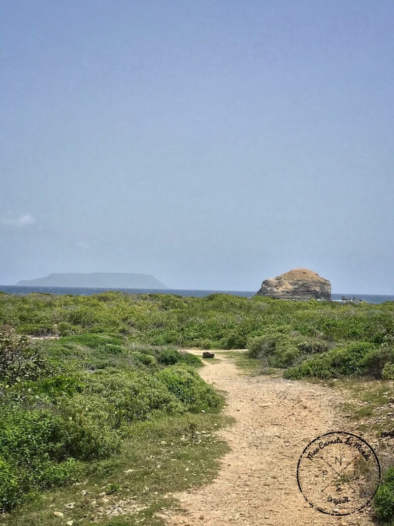 La Pointe des Châteaux, La Pointe des Châteaux, une belle randonnée à l’est de la Guadeloupe et des randonneurs un peu  « à l’ouest »…, Mes Carnets du Monde