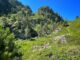 Lac de Gréziolles, Randonnée au Lac de Gréziolles jusqu’au refuge de Campana : ça se Corse en Haute-Pyrénées, entre La Mongie et Saint Lary., Mes Carnets du Monde