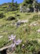 Lac de Gréziolles, Randonnée au Lac de Gréziolles jusqu’au refuge de Campana : ça se Corse en Haute-Pyrénées, entre La Mongie et Saint Lary., Mes Carnets du Monde