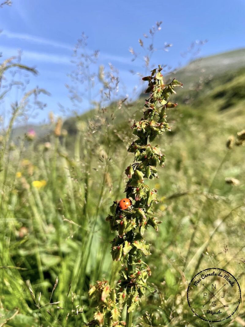 Randonnée Cirque de Troumouse, Randonnée au Cirque de Troumouse… Mais Qu&#8217;est-ce Que C’est Que Ce Cirque ?, Mes Carnets du Monde