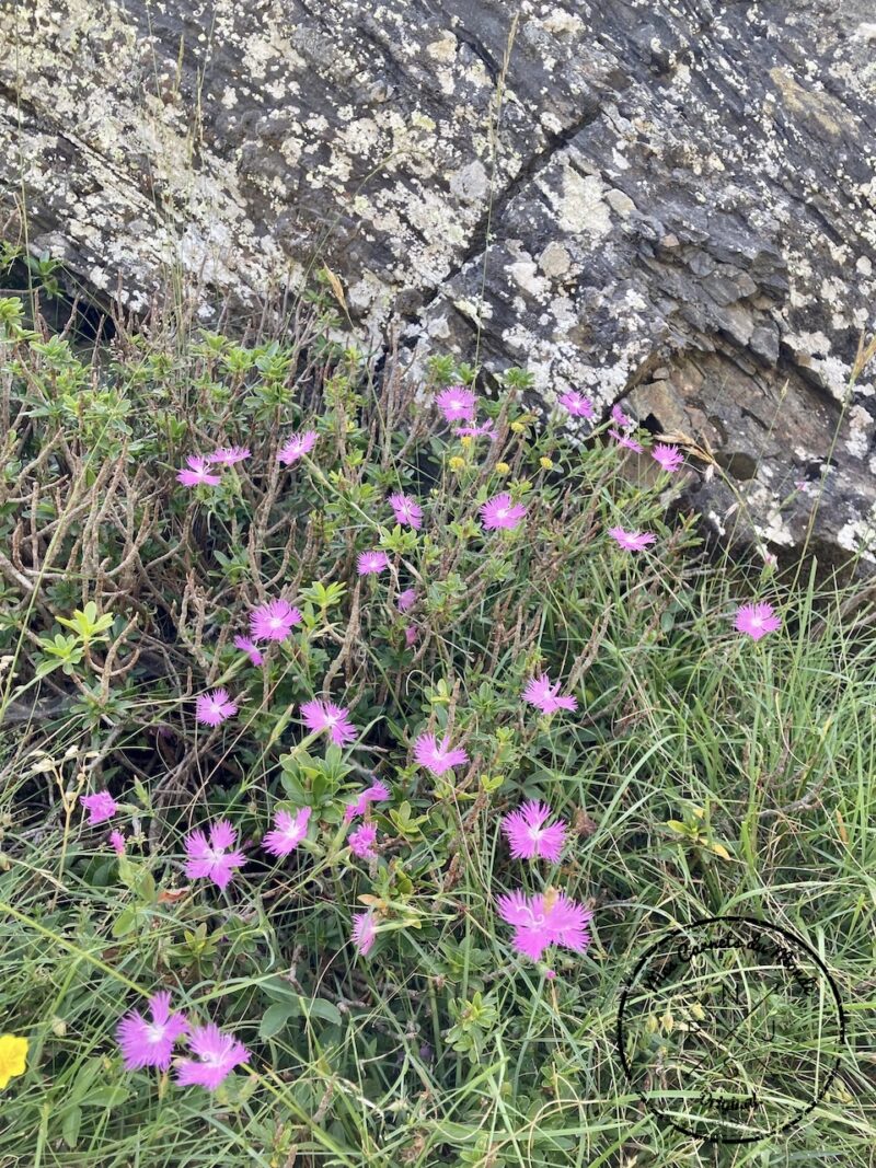 Randonnée Cirque de Troumouse, Randonnée au Cirque de Troumouse… Mais Qu&#8217;est-ce Que C’est Que Ce Cirque ?, Mes Carnets du Monde