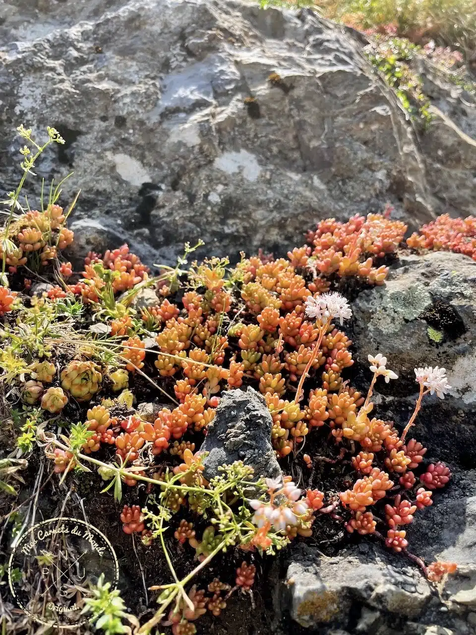 Randonn&eacute;e Cirque de Troumouse, Randonn&eacute;e au Cirque de Troumouse&hellip; Mais Qu&rsquo;est-ce Que C&rsquo;est Que Ce Cirque ?