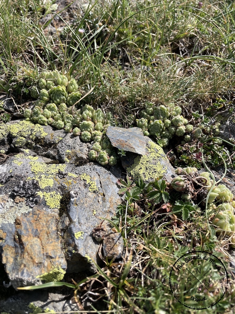 Randonnée Cirque de Troumouse, Randonnée au Cirque de Troumouse… Mais Qu&#8217;est-ce Que C’est Que Ce Cirque ?, Mes Carnets du Monde