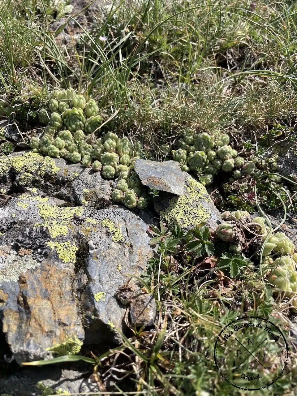 Randonn&eacute;e Cirque de Troumouse, Randonn&eacute;e au Cirque de Troumouse&hellip; Mais Qu&rsquo;est-ce Que C&rsquo;est Que Ce Cirque ?