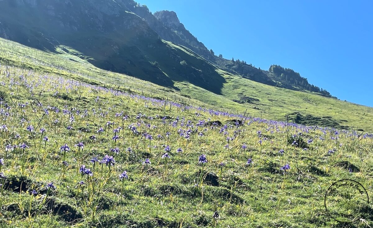 Randonnée Aygues Cluses, Randonnée dans la Vallée d’Aygues Cluses à Barèges : les Belles Eaux (&#038; Maisons ?) Closes du GR10., Mes Carnets du Monde