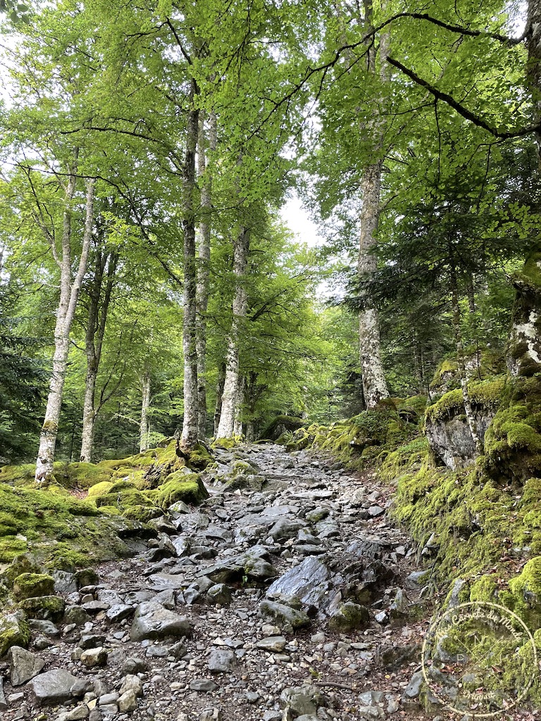 Randonnée Lac Bleu, Randonnée au Lac Bleu, une belle aventure anti-blues pour déconnecter &#038; se ressourcer !, Mes Carnets du Monde