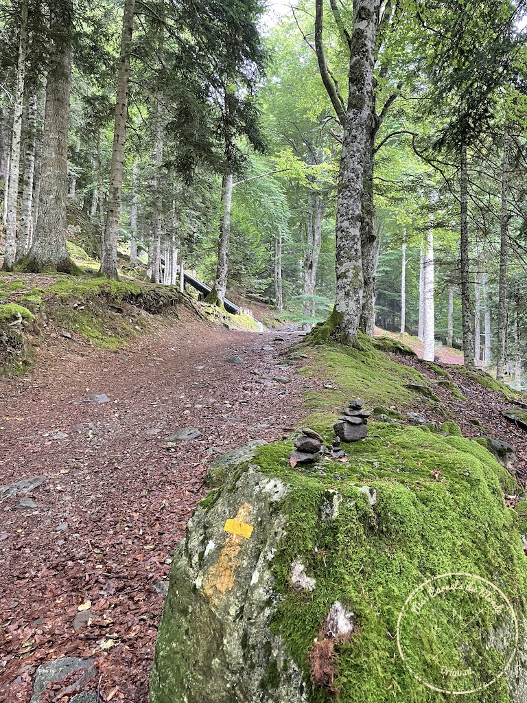 Randonnée Lac Bleu, Randonnée au Lac Bleu, une belle aventure anti-blues pour déconnecter &#038; se ressourcer !, Mes Carnets du Monde