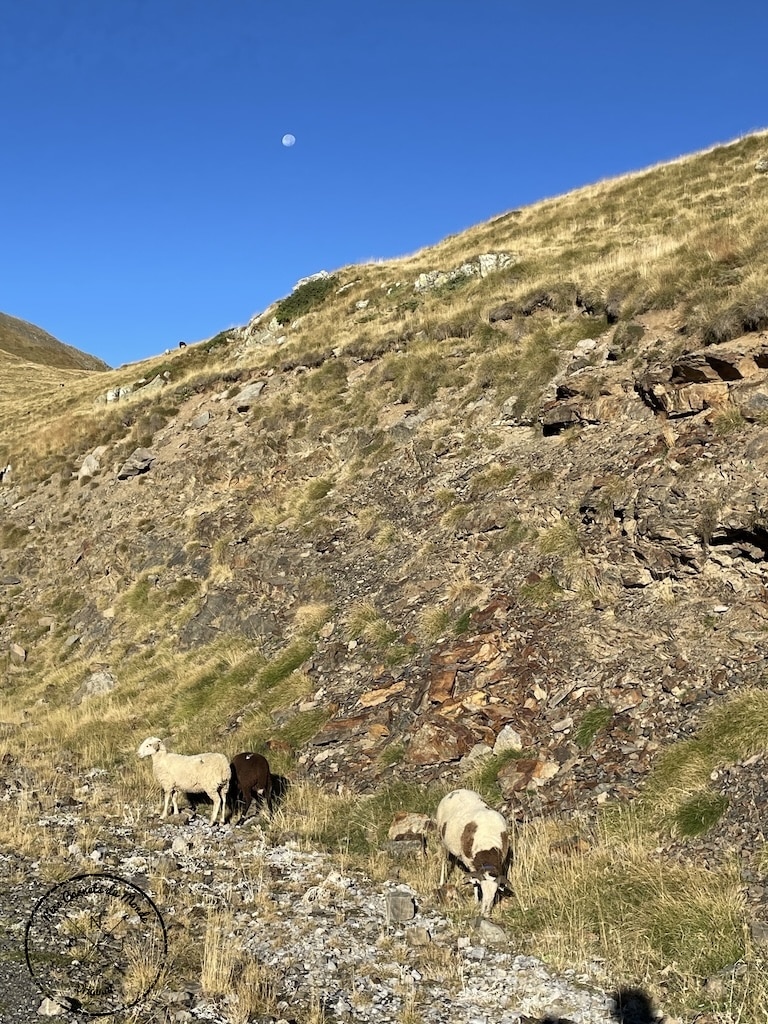 Randonnée au Pic du Taillon, Randonnée au Pic du Taillon par la Brèche de Roland : Une aventure bien taillée à 3000 m d&#8217;altitude dans les Pyrénées., Mes Carnets du Monde