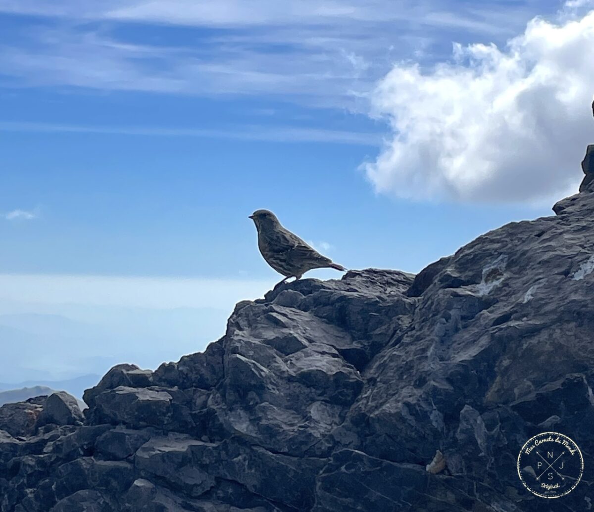 Randonnée au Pic du Taillon, Randonnée au Pic du Taillon par la Brèche de Roland : Une aventure bien taillée à 3000 m d&#8217;altitude dans les Pyrénées., Mes Carnets du Monde