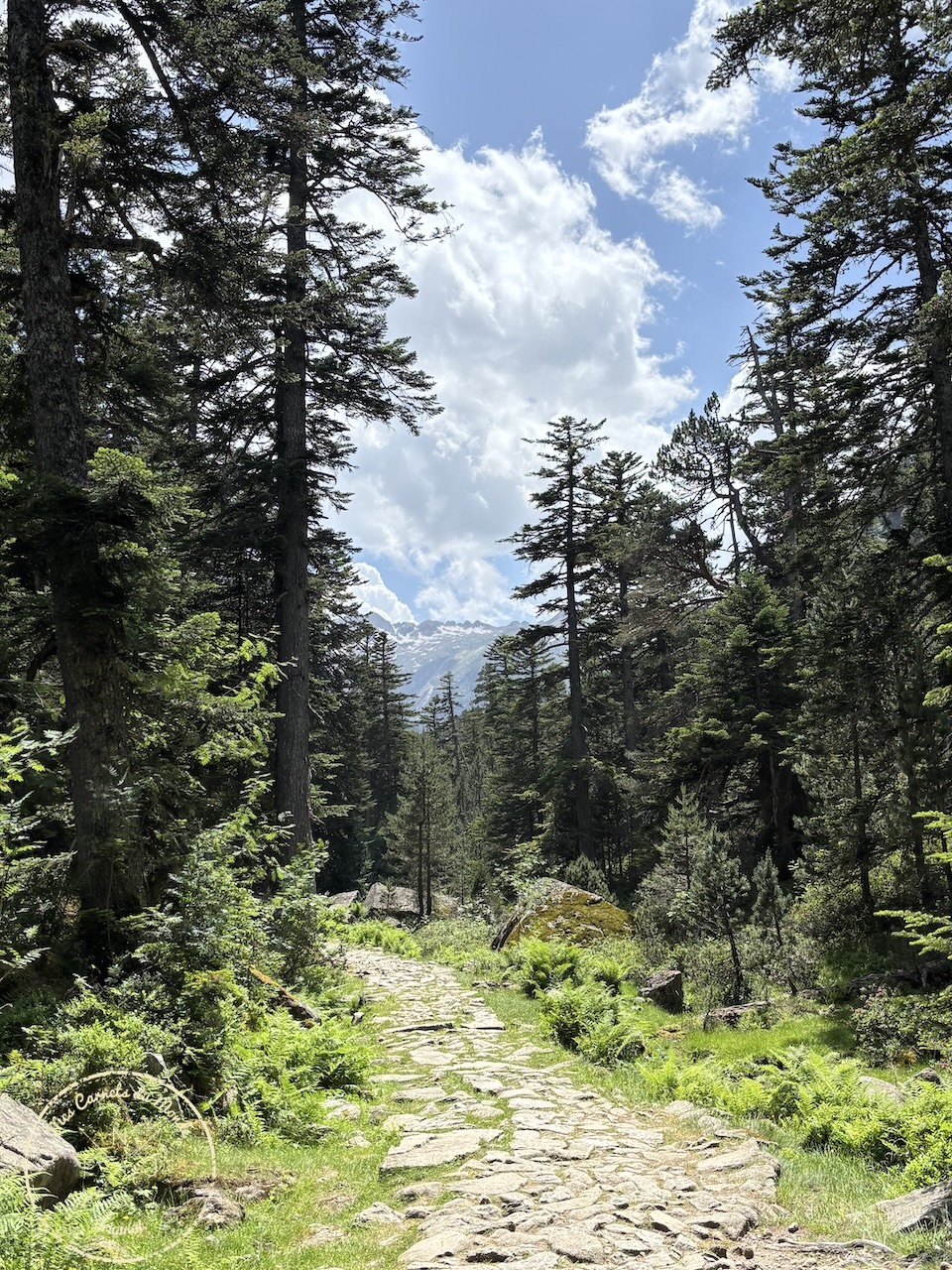 Randonnée Pyrénées, Sublime Randonnée de 5 jours entre la France, l’Espagne et le Vignemale : les Pyrénées Grandeur Nature !, Mes Carnets du Monde