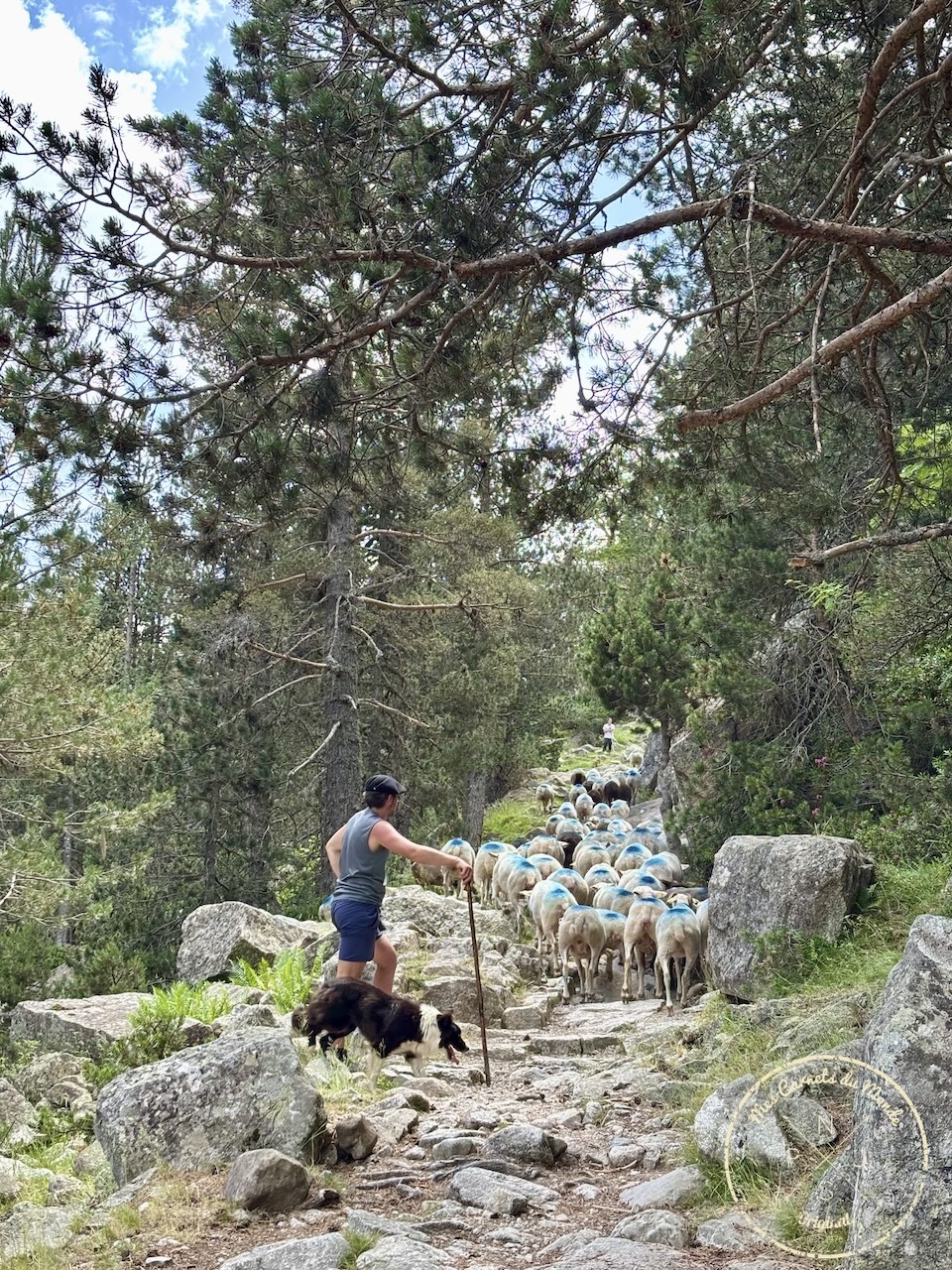 Randonnée Pyrénées, Sublime Randonnée de 5 jours entre la France, l’Espagne et le Vignemale : les Pyrénées Grandeur Nature !, Mes Carnets du Monde
