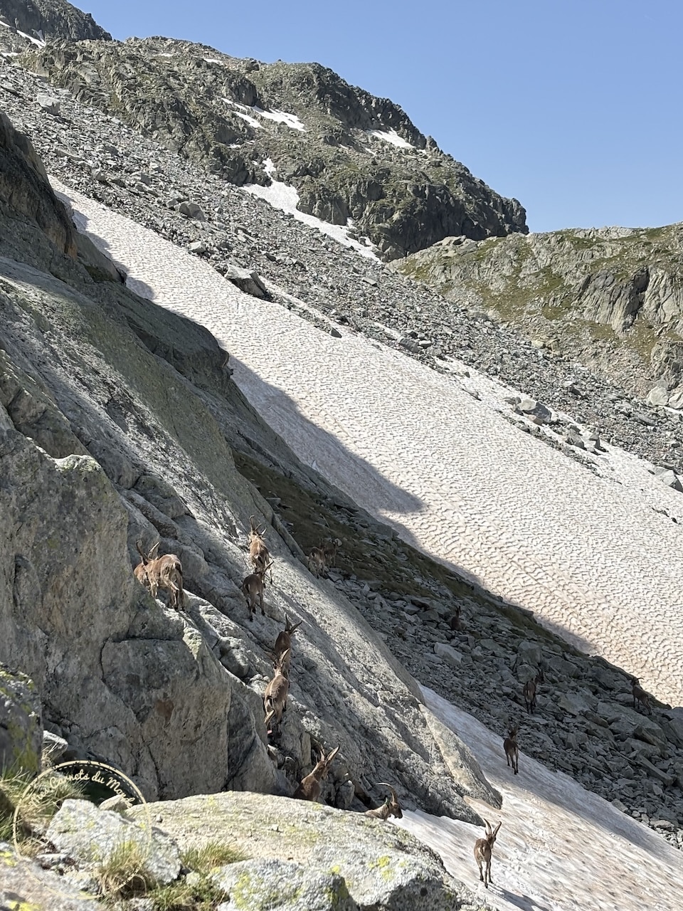 Randonnée Pyrénées, Sublime Randonnée de 5 jours entre la France, l’Espagne et le Vignemale : les Pyrénées Grandeur Nature !, Mes Carnets du Monde