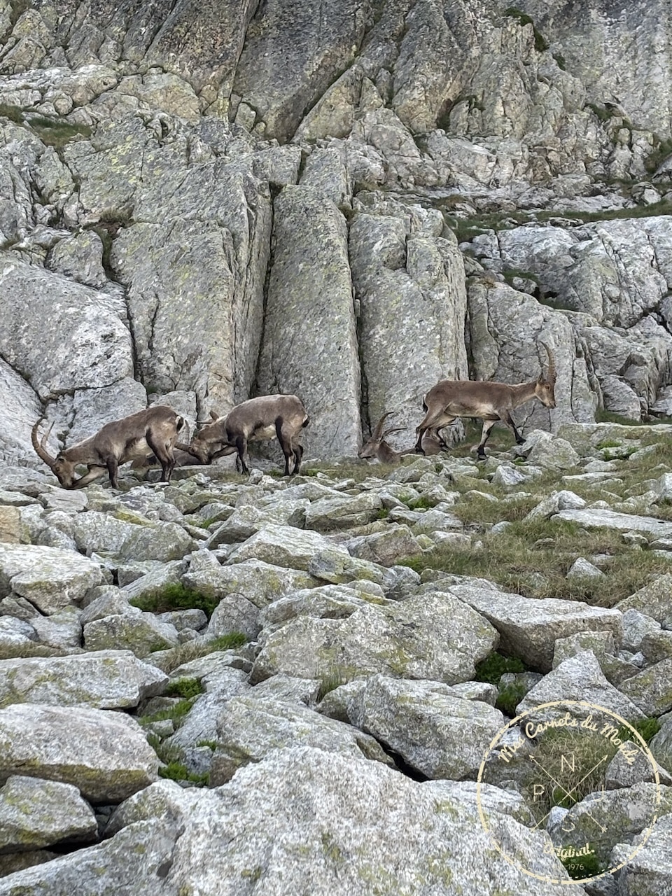Randonnée Pyrénées, Sublime Randonnée de 5 jours entre la France, l’Espagne et le Vignemale : les Pyrénées Grandeur Nature !, Mes Carnets du Monde