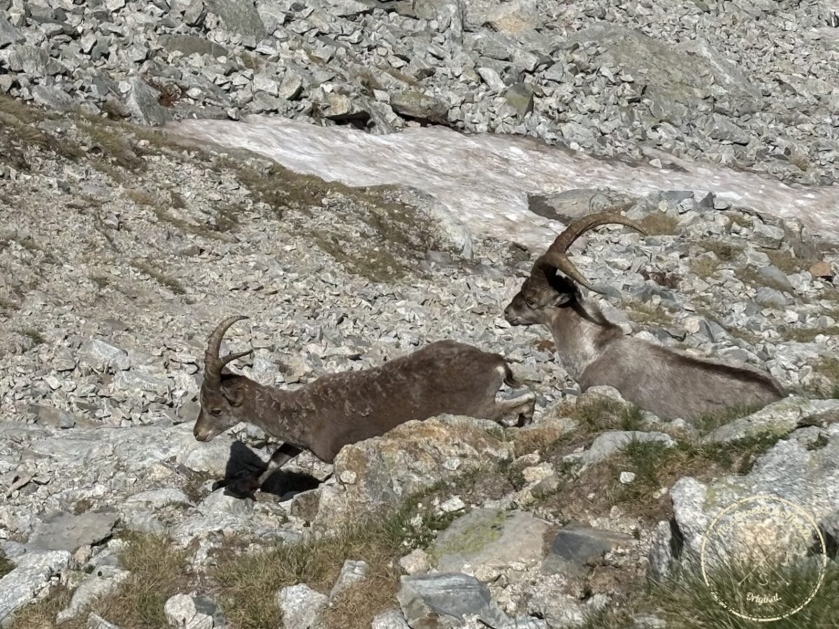 Randonnée Pyrénées, Sublime Randonnée de 5 jours entre la France, l’Espagne et le Vignemale : les Pyrénées Grandeur Nature !, Mes Carnets du Monde