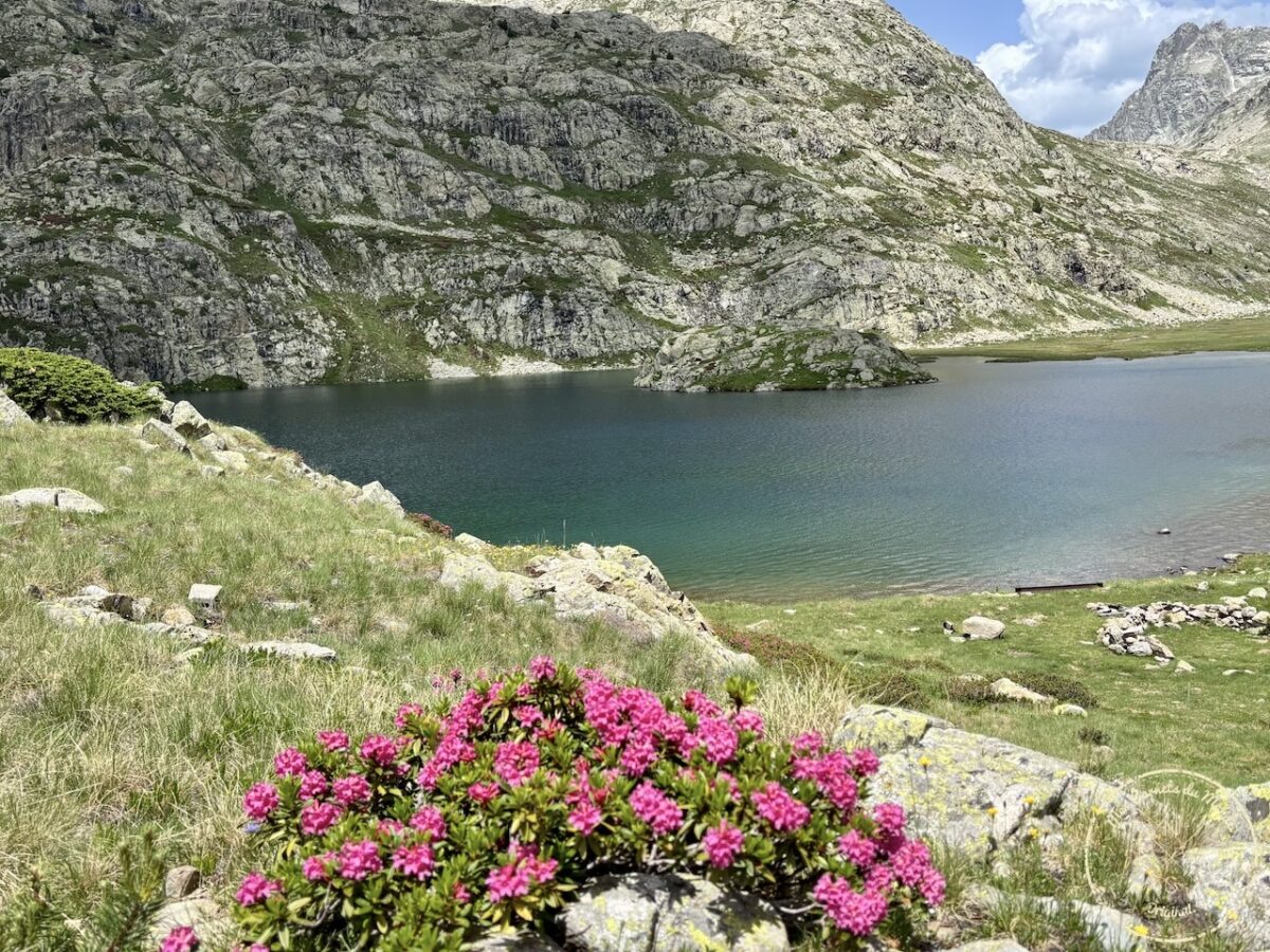 Randonnée Pyrénées, Sublime Randonnée de 5 jours entre la France, l’Espagne et le Vignemale : les Pyrénées Grandeur Nature !, Mes Carnets du Monde