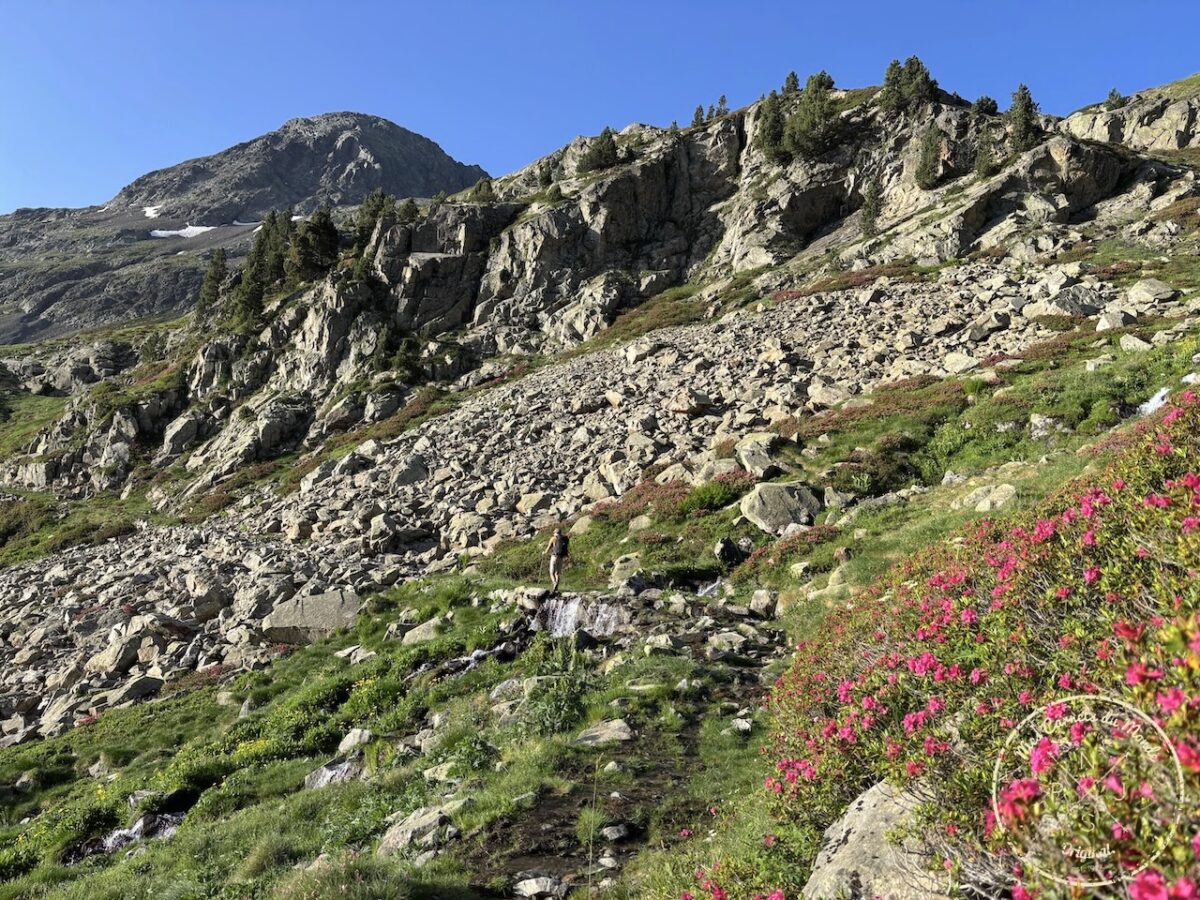 Chemin le long du lac de Respomuso, dans la montagne avec des rhododendrons fleuris, de l'herbe verte, une cascade et des rochers.
