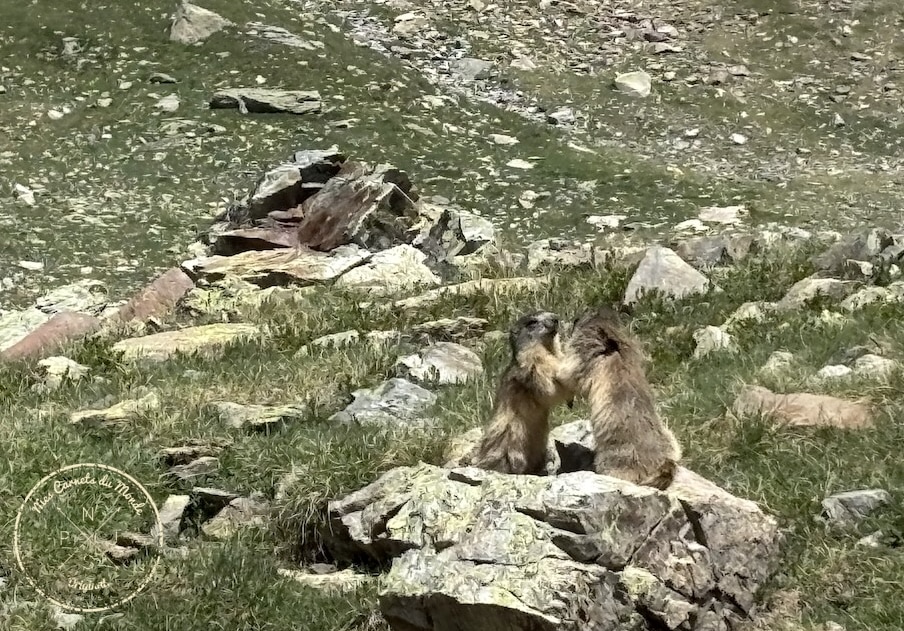 Randonn&eacute;e 5 jours Pyr&eacute;n&eacute;es, Randonn&eacute;e au Vignemale : une boucle originale de 5 jours entre la France et l&rsquo;Espagne – les Pyr&eacute;n&eacute;es Grandeur Nature&nbsp;!