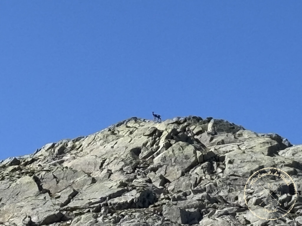 Randonn&eacute;e 5 jours Pyr&eacute;n&eacute;es, Randonn&eacute;e au Vignemale : une boucle originale de 5 jours entre la France et l&rsquo;Espagne – les Pyr&eacute;n&eacute;es Grandeur Nature&nbsp;!