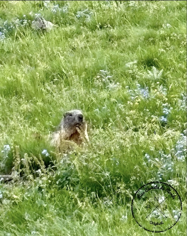 Randonnée 5 jours Pyrénées, Randonnée autour du Vignemale : une boucle originale de 5 jours entre la France et l’Espagne &#8211; les Pyrénées Grandeur Nature !