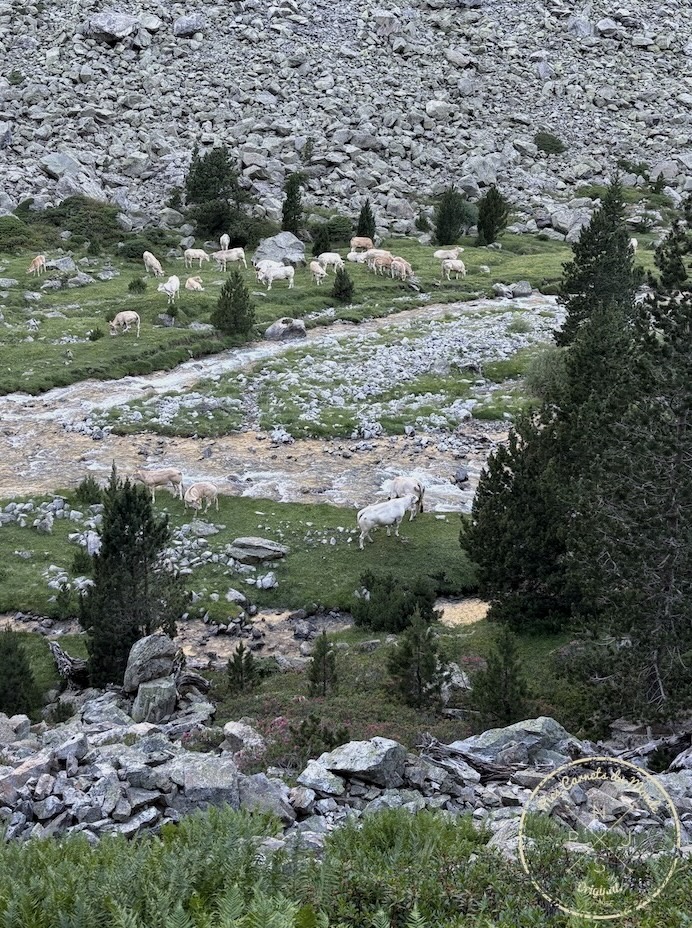 Randonn&eacute;e 5 jours Pyr&eacute;n&eacute;es, Randonn&eacute;e au Vignemale : une boucle originale de 5 jours entre la France et l&rsquo;Espagne – les Pyr&eacute;n&eacute;es Grandeur Nature&nbsp;!